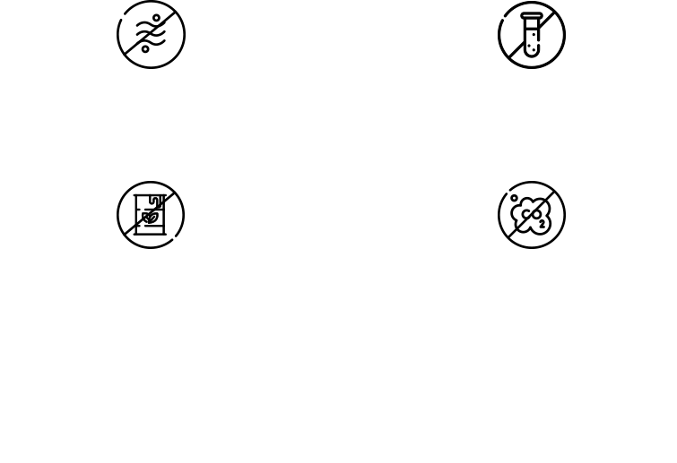 Kölor América